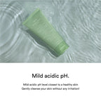 Abib Foam Cleanser Heartleaf Foam (2 Sizes)