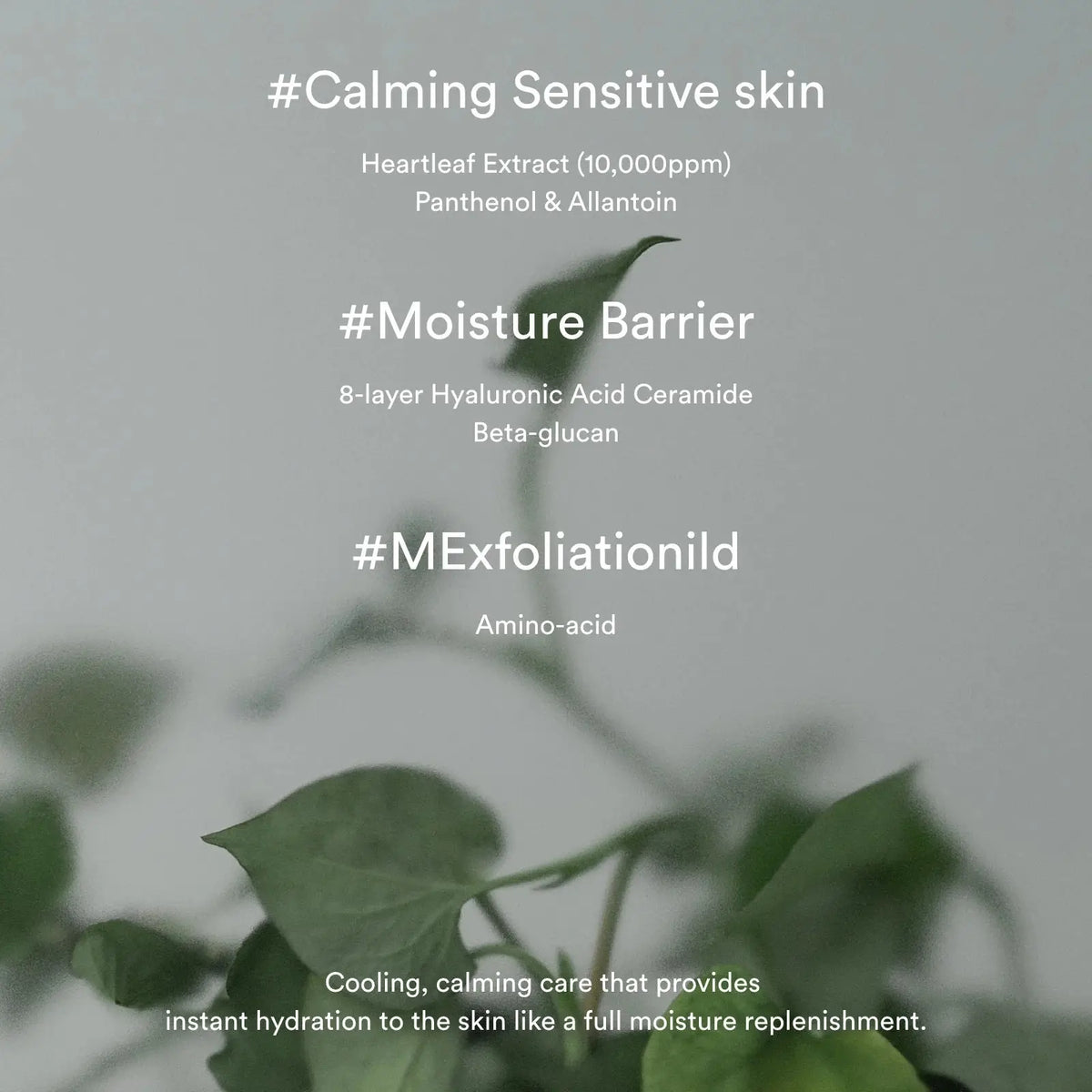 Abib Heartleaf Cream Calming Tube 75ml