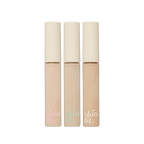 Etude House Big Cover Skin Fit Concealer PRO 7g (4 Shades)