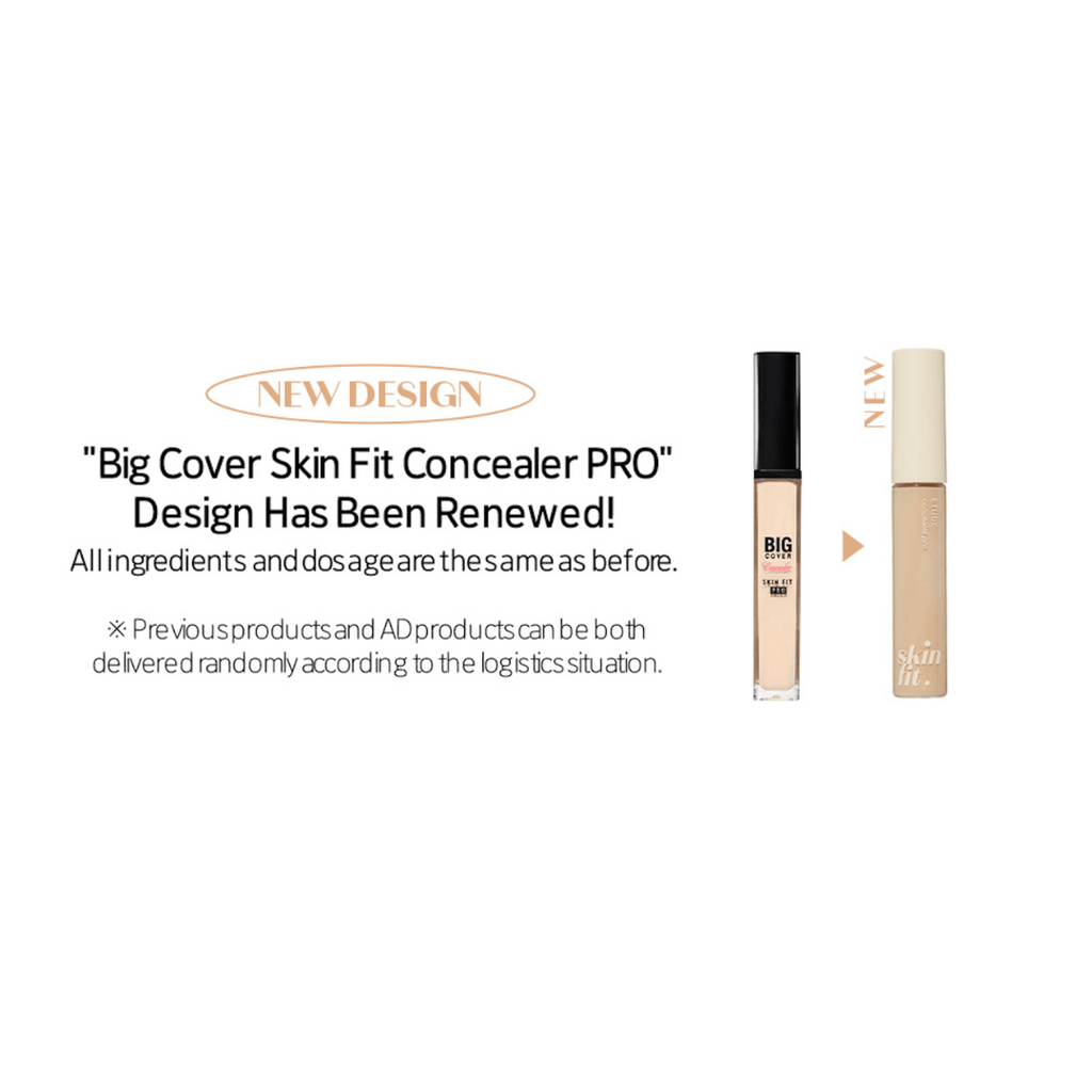Etude House Big Cover Skin Fit Concealer PRO 7g (4 Shades)