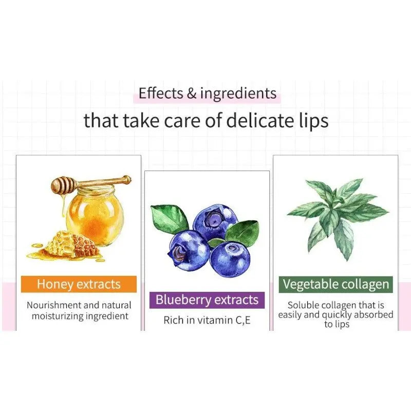 Frudia Blueberry Honey Hydrating Lip Balm