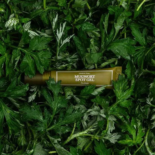 Im From Mugwort Spot Gel 15g