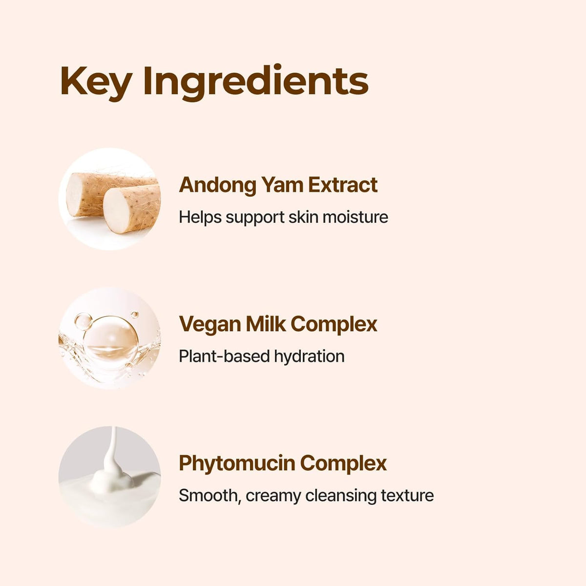 Isntree Yam Root Vegan pH-Balancing Cleanser 120ml