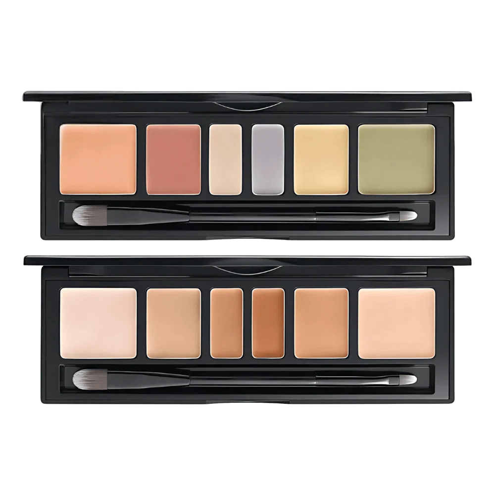 JUNGSAEMMOOL Artist Concealer Palette 6.6g (2 Shades)