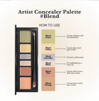 JUNGSAEMMOOL Artist Concealer Palette 6.6g (2 Shades)
