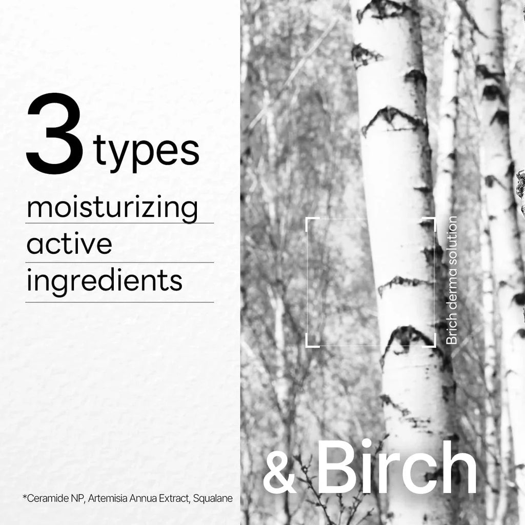 MEDIHEAL Dermaplus Birch Mask 10pcs