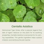 Gentle Barrier Care 2-Step Set - Sensitive Skin