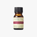 Tunemakers Botanical Mugwort Leaf Extract 10ml (Clearance)