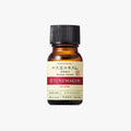 Tunemakers Botanical Soybean Extract 10ml (Clearance)