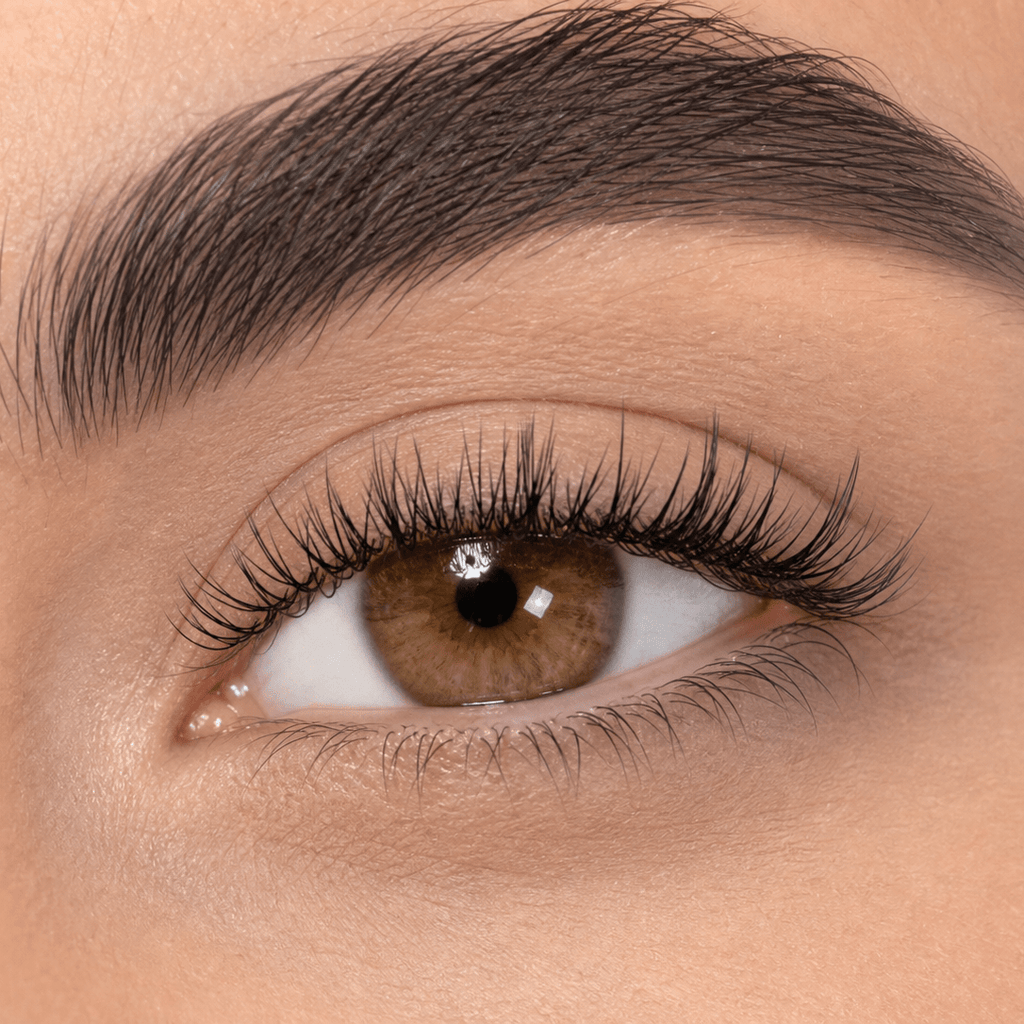 WINKALA Eyelashes Book - Reusable & Glue Free (Lightweight Eye-Enlarging) 10-12mm