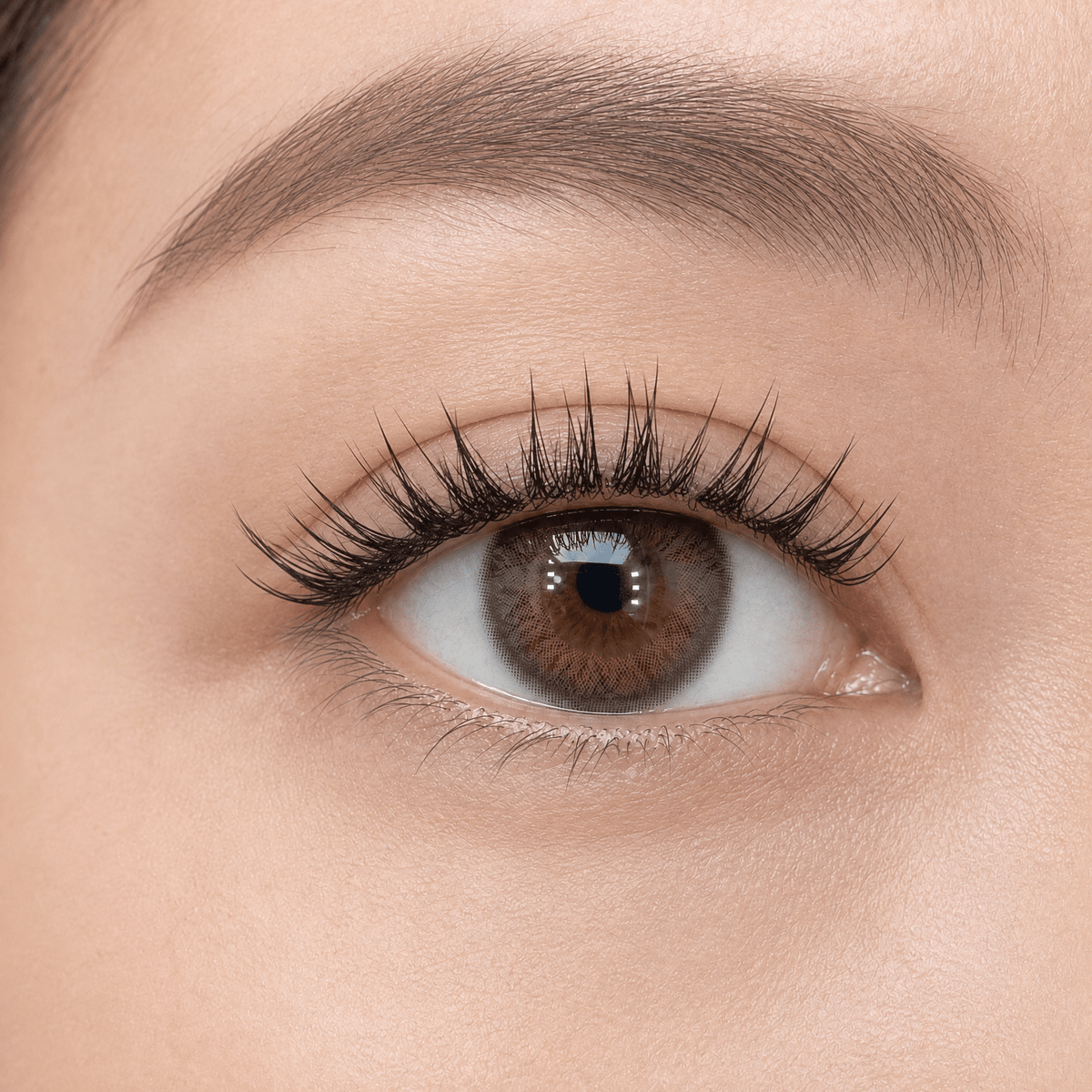 WINKALA Eyelashes Book - Reusable & Glue Free (Lightweight Natural) 10-12mm