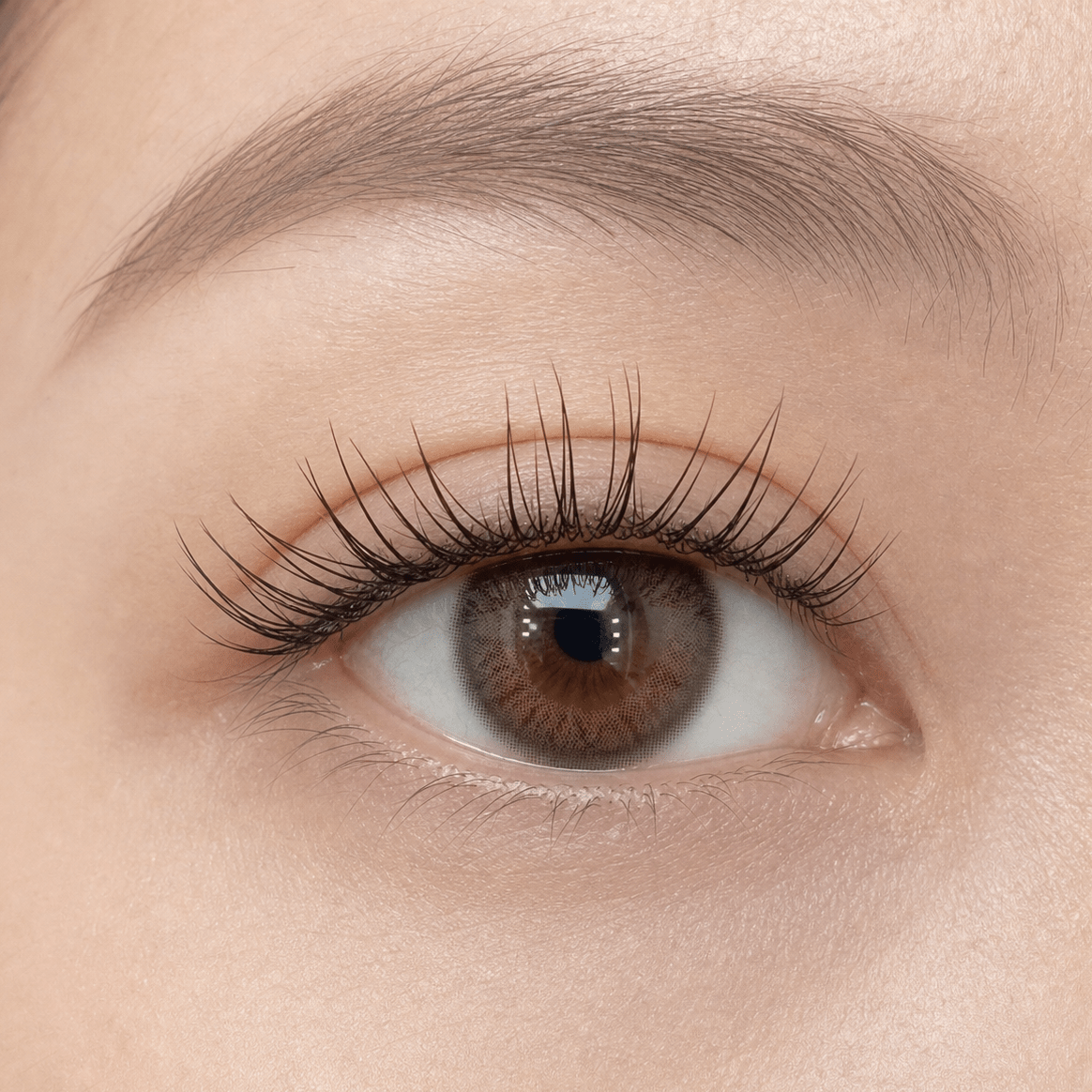 WINKALA Eyelashes Book - Reusable & Glue Free (Lightweight Natural) 6mm